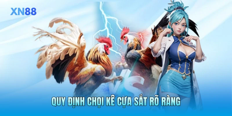 Quy định chọi kê cựa sắt rõ ràng